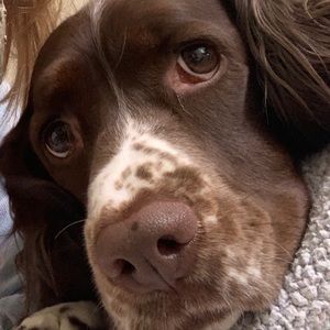 Meet your Posher, Payton